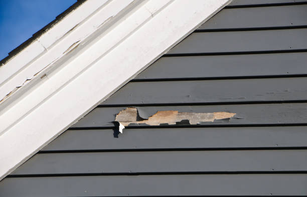 Gunter, TX Siding Installation & Repair Company